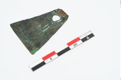 Foto von Bronzeachsnagel (NHMW-PRAE-025272)